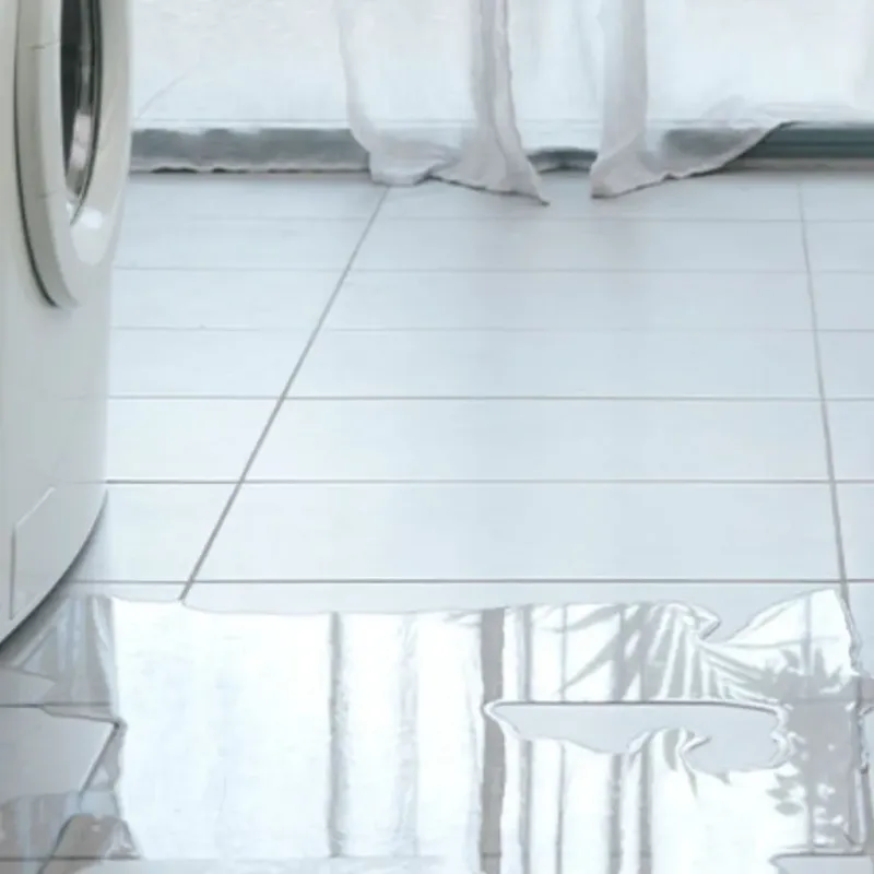 Appliance Leak Cleanup in Madeira Beach, FL
